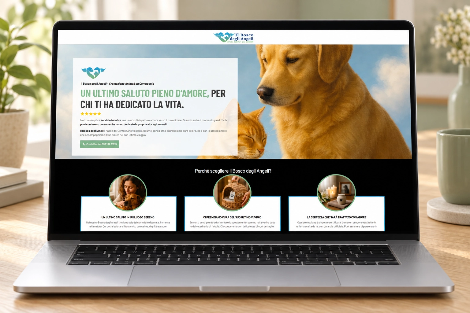 Progetto web del portfolio Neweb, esempio 87